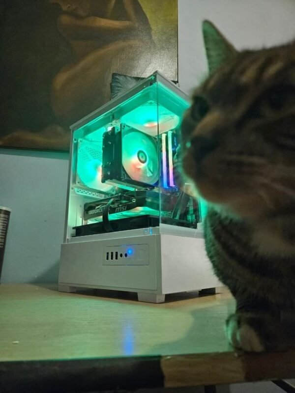 build-pc07-2.jpg PC Gamer Hestia — RX 9060 XT + Core i5-12400F