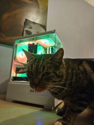 PC Gamer Iris — RX 9060 XT + Ryzen 7 7700